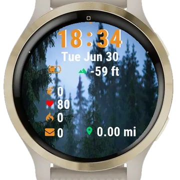 Bird Sitting Top Tree Rain Garmin watch face preview