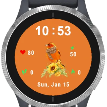 Bird Garmin watch face preview