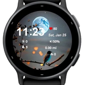 Birds and Moon Garmin watch face preview