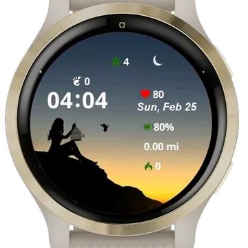 Birds Fly Garmin watch face preview