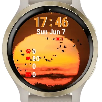 Birds Flying Front Sun Garmin watch face preview