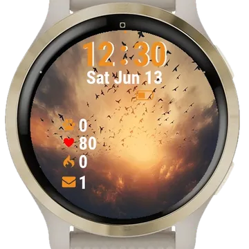 Birds Flying Sky Sunset Garmin watch face preview