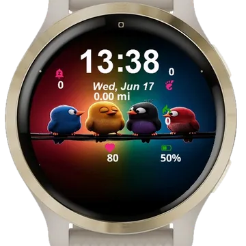 Birds Movie Poster Garmin watch face preview