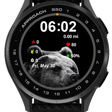 Black Bear Garmin watch face preview