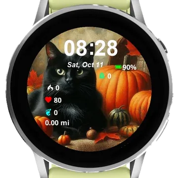 Black Cat Garmin watch face preview