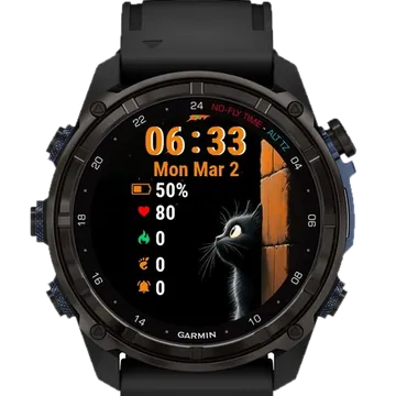 Black Cat Garmin watch face preview