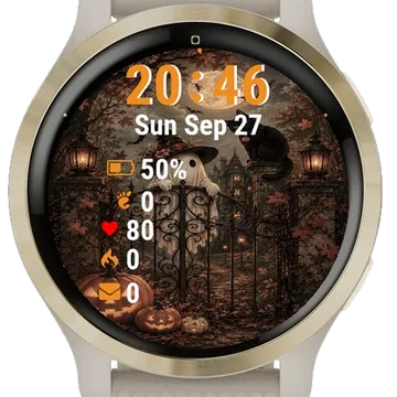 Black Cat Sitting Top Gate Next Garmin watch face preview