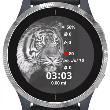 Black Tiger Garmin watch face preview