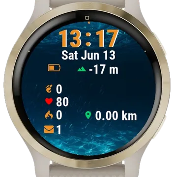 Blue Ocean Lots Fish Garmin watch face preview