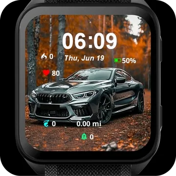 BMW Garmin watch face preview