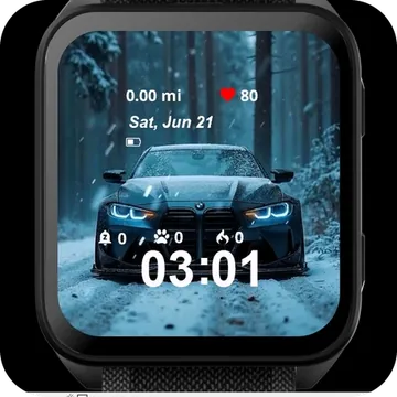Bmw Winter Garmin watch face preview