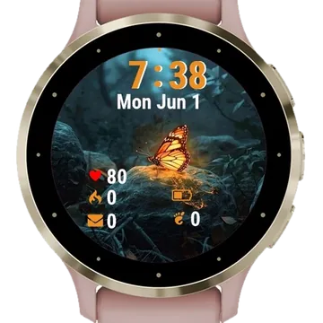 Boat Sitting Edge Lake Garmin watch face preview