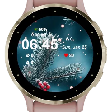 Branches Red Berries Garmin watch face preview