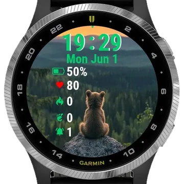 Brown Bear Sitting Top Garmin watch face preview