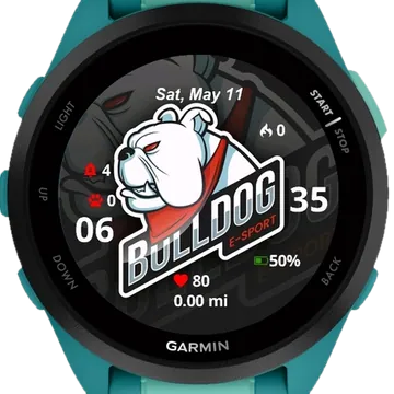 Bull Dog Garmin watch face preview
