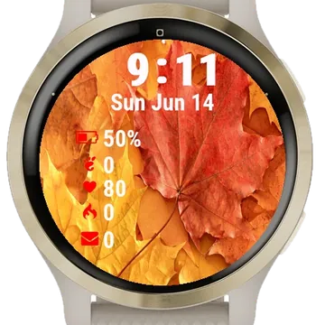 Bunch Autumn Leaves Table Garmin watch face preview