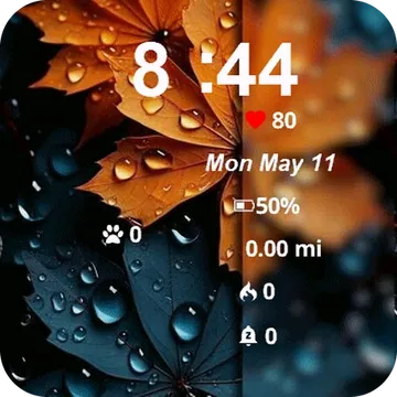Bunch Leaves Water Garmin watch face preview