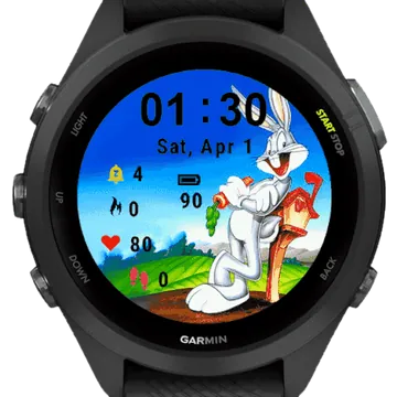 Bunny Cartoon Garmin watch face preview