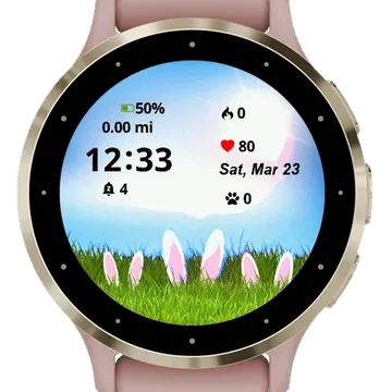 Bunny Ears Garmin watch face preview