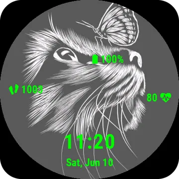 Buttercat Garmin watch face preview
