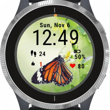 Butterfly Garmin watch face preview