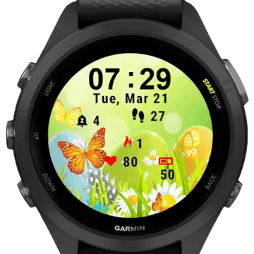 Butterfly and Eggs Garmin watch face preview