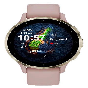 Butterfly Colorful Wings Dark Garmin watch face preview