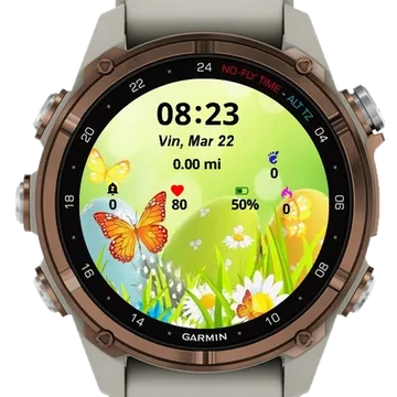 Butterfly Eggs April Garmin watch face preview