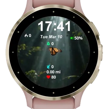 Butterfly Flying Garmin watch face preview