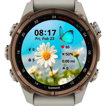 Butterfly Nature Garmin watch face preview