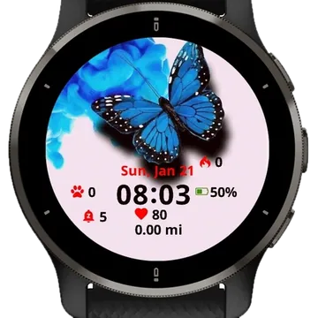 Butterfly Nature Garmin watch face preview