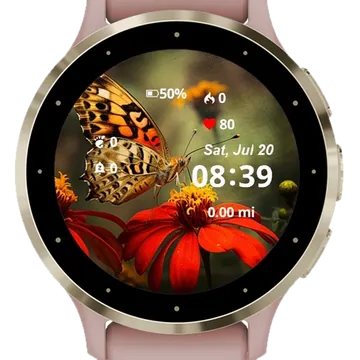 Butterfly Orange Gerbera Flower Garmin watch face preview