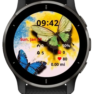 Butterfly Picture Garmin watch face preview