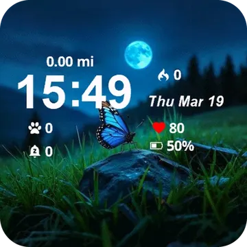 Butterfly Sitting Rock Grass Garmin watch face preview