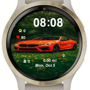 Car Coupe Parked Garmin watch face preview