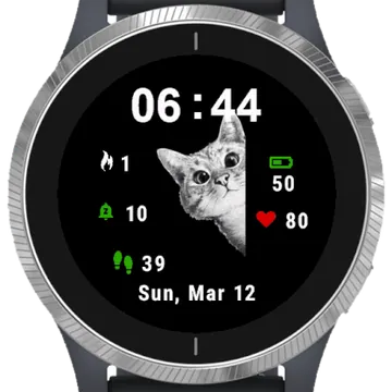 Cat Garmin watch face preview