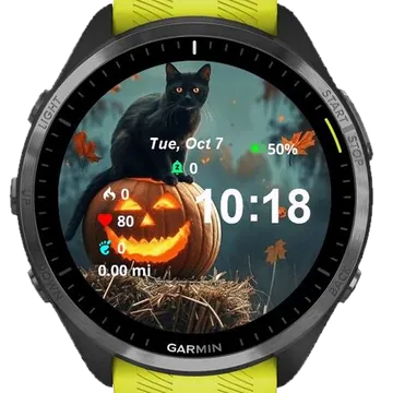Cat and Pumpkins Garmin watch face preview