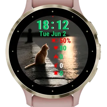 Cat Sitting Edge Pier Garmin watch face preview