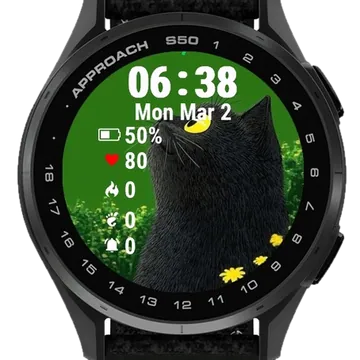 Cat Sitting Field Flowers Garmin watch face preview