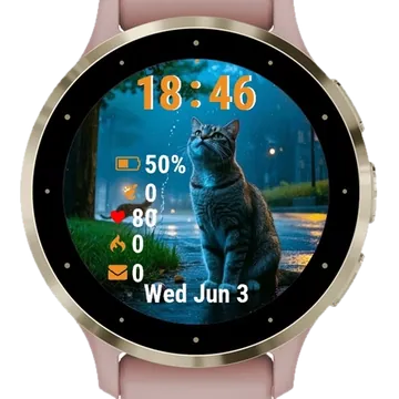 Cat Sitting Ground Rain Garmin watch face preview
