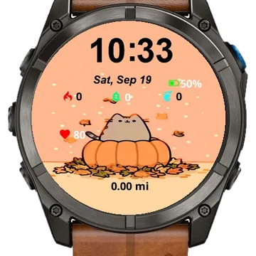 Cat Sitting Top Pumpkin Garmin watch face preview