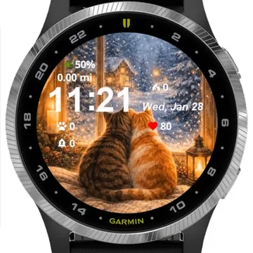 Cat Sitting Window Sing Snow Garmin watch face preview