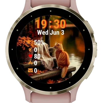 Cat Sitting Wooden Bench Garmin watch face preview