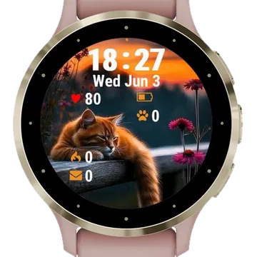 Cat Sleeping Wooden Fence Garmin watch face preview