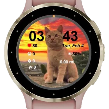 Cat Garmin watch face preview