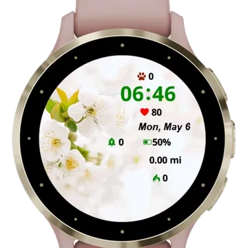 Cherry Branch Garmin watch face preview