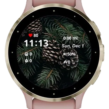 Christmas Con Garmin watch face preview