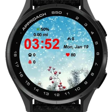 Christmas Snow Berries Garmin watch face preview