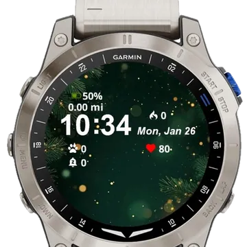 Christmas Winter Globe Garmin watch face preview