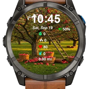Close Up Baskets Ladders Apple Garmin watch face preview
